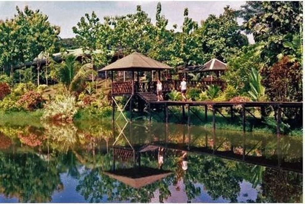 Sepilok Jungle Resort Exteriér fotografie
