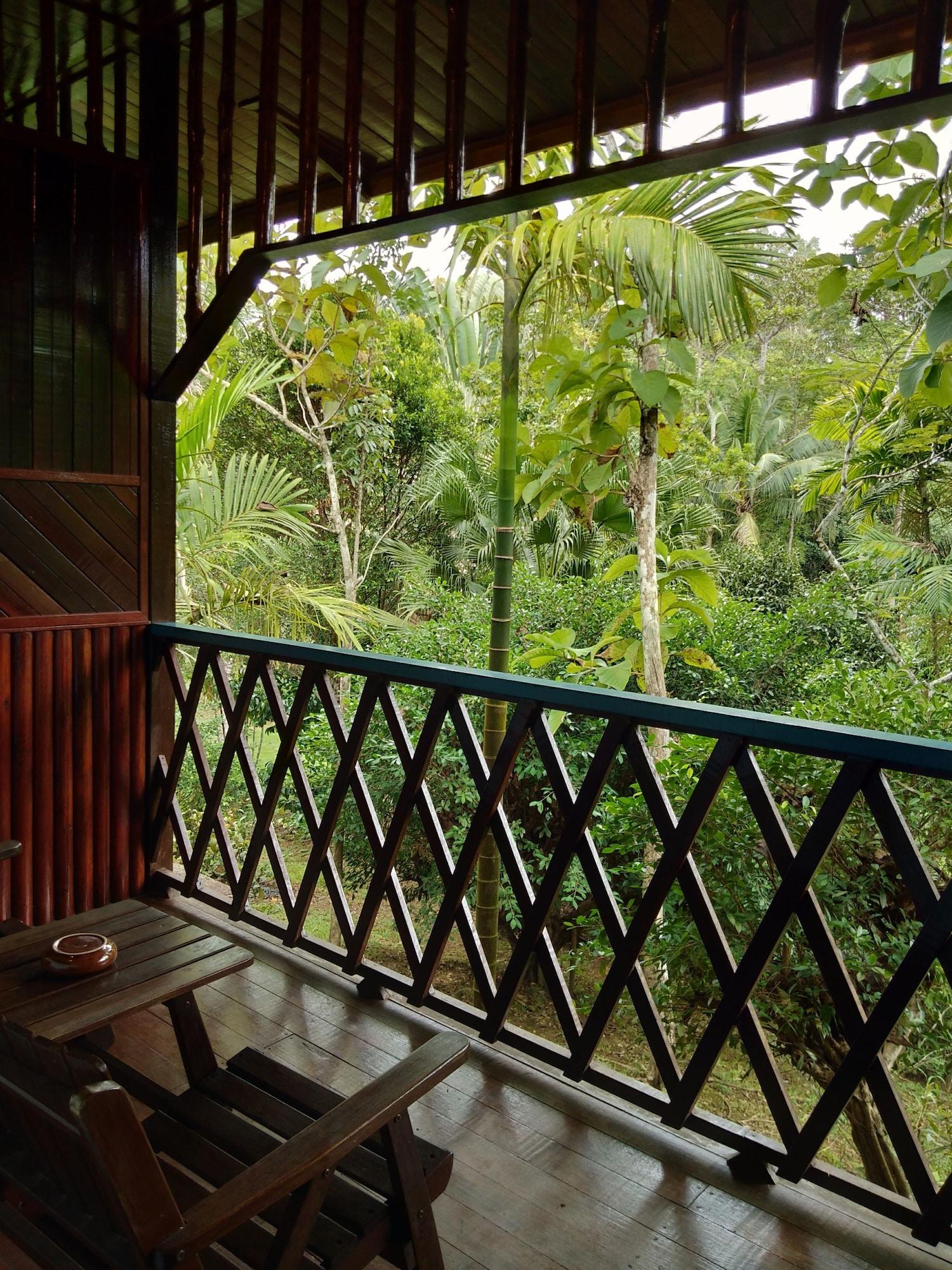 Sepilok Jungle Resort Exteriér fotografie