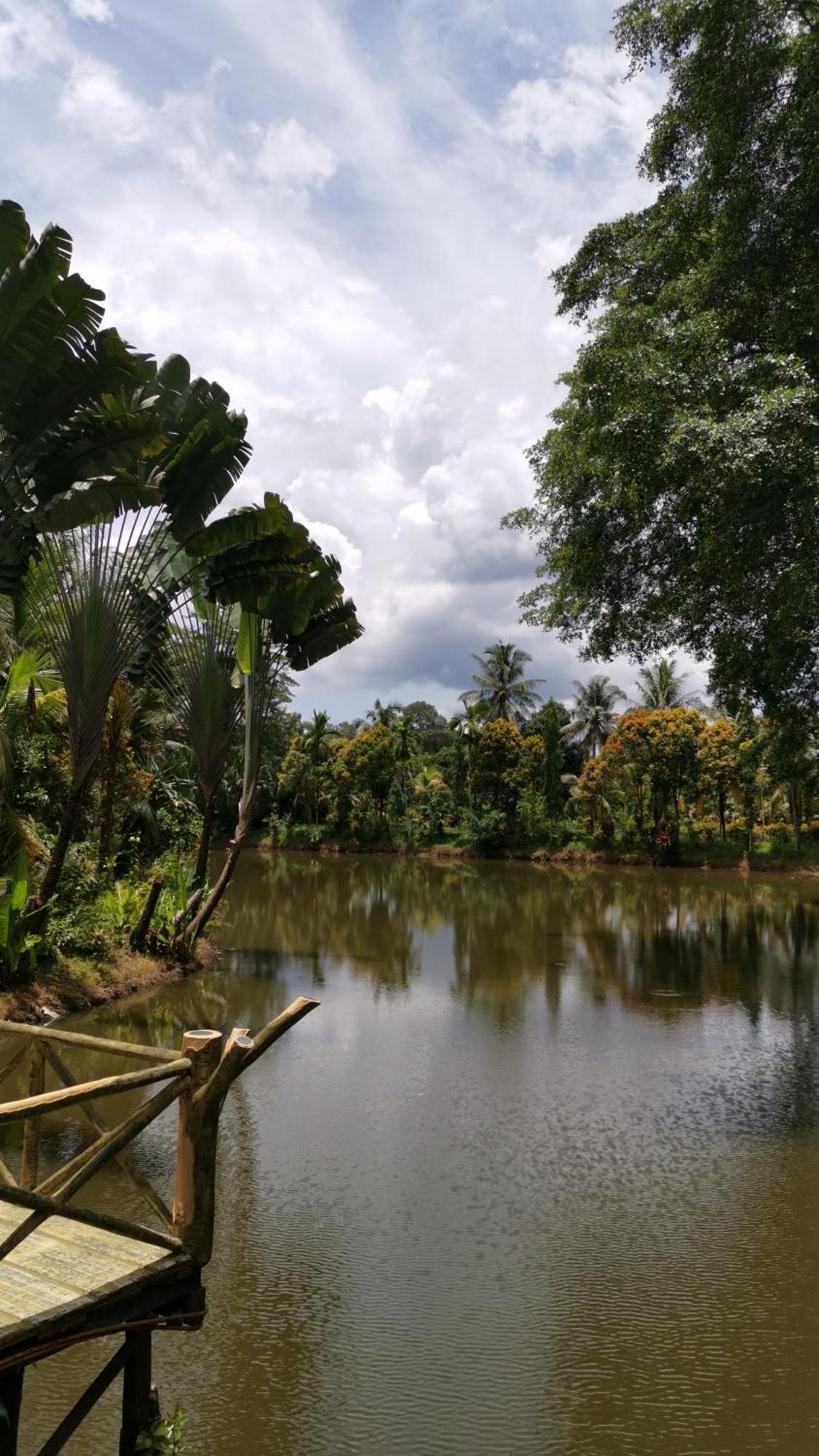 Sepilok Jungle Resort Exteriér fotografie