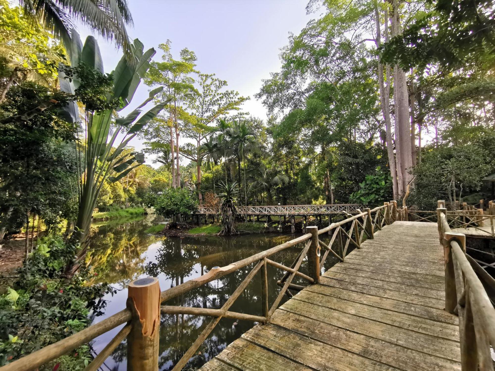 Sepilok Jungle Resort Exteriér fotografie