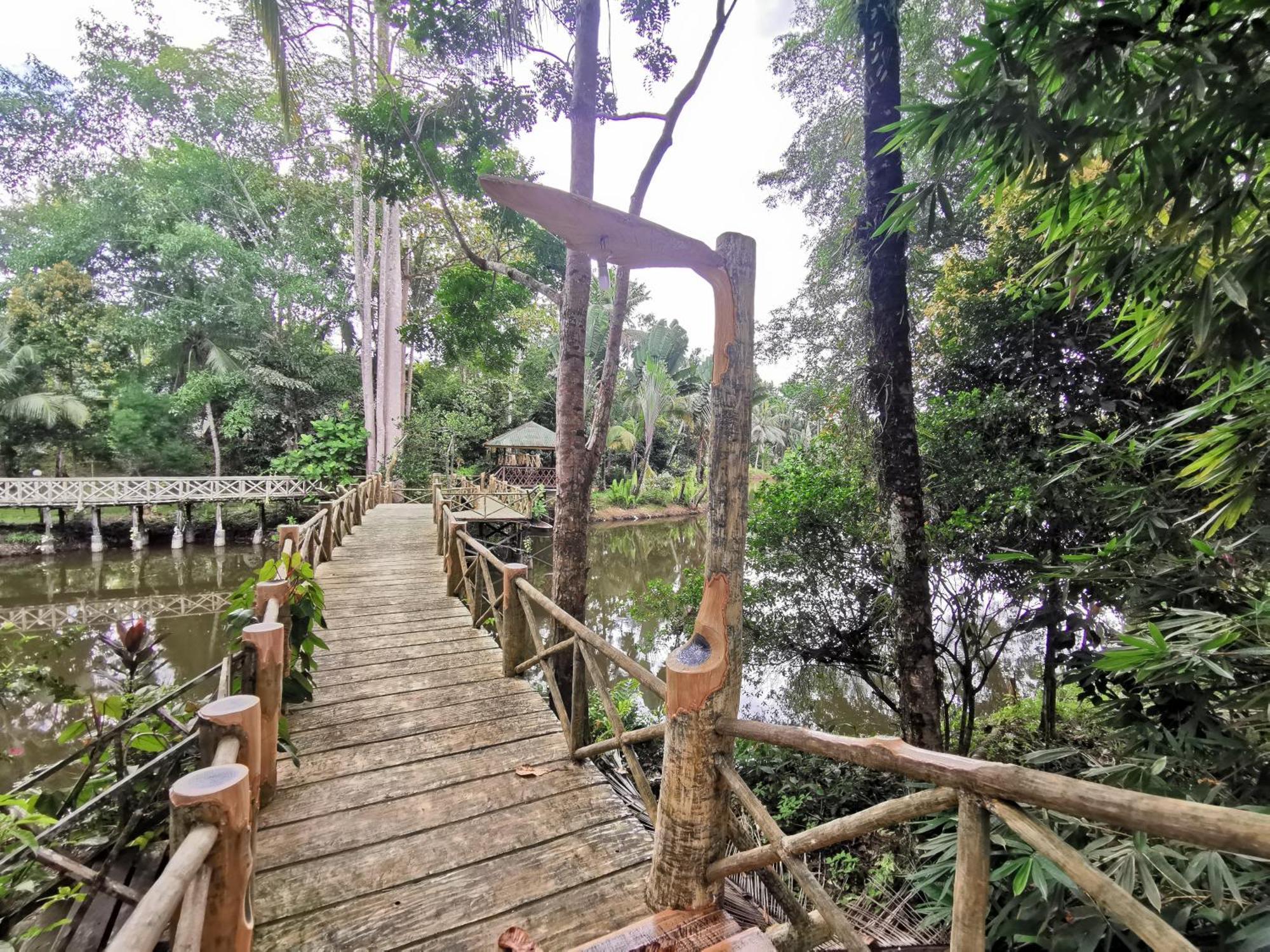 Sepilok Jungle Resort Exteriér fotografie