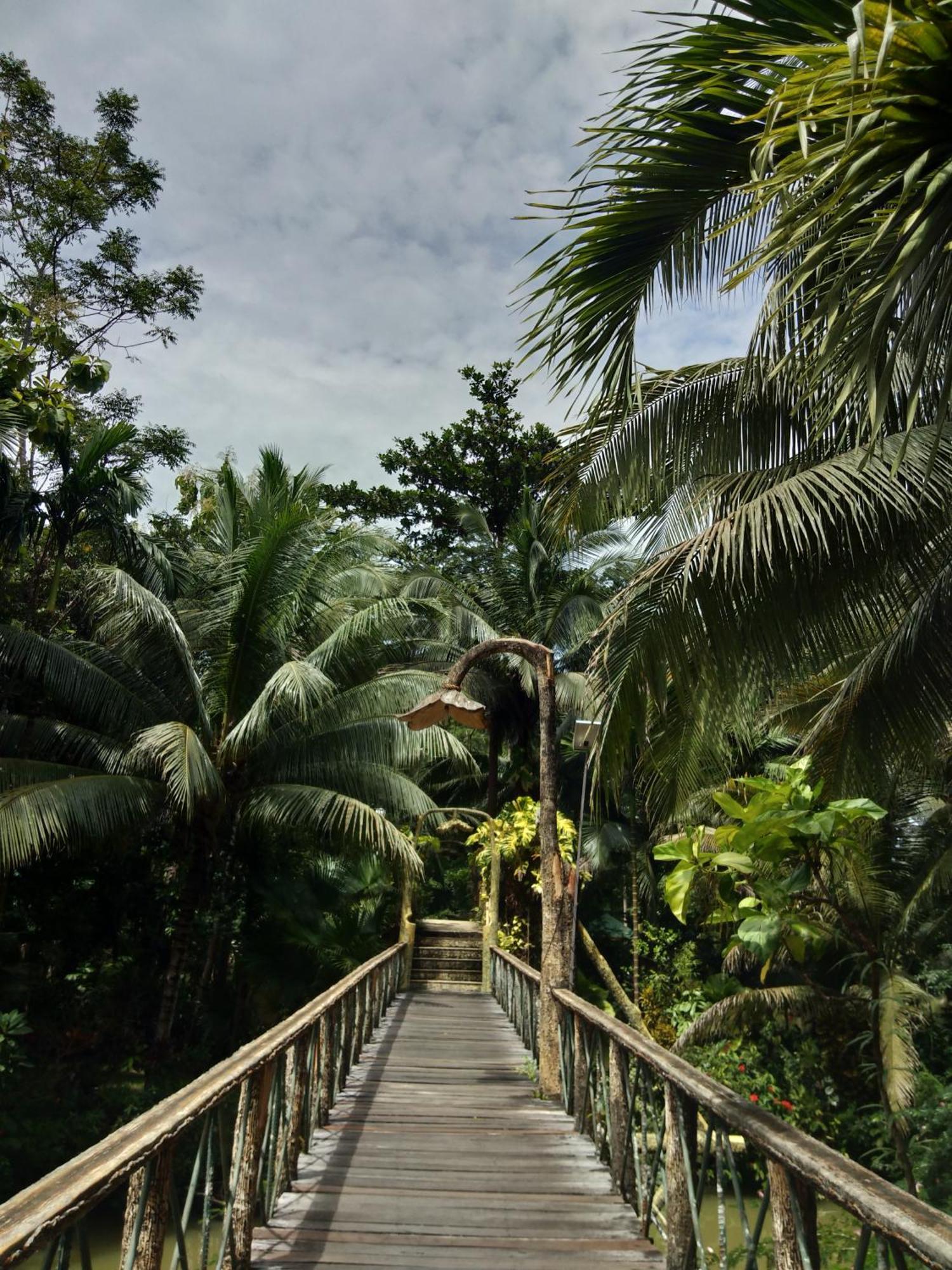 Sepilok Jungle Resort Exteriér fotografie