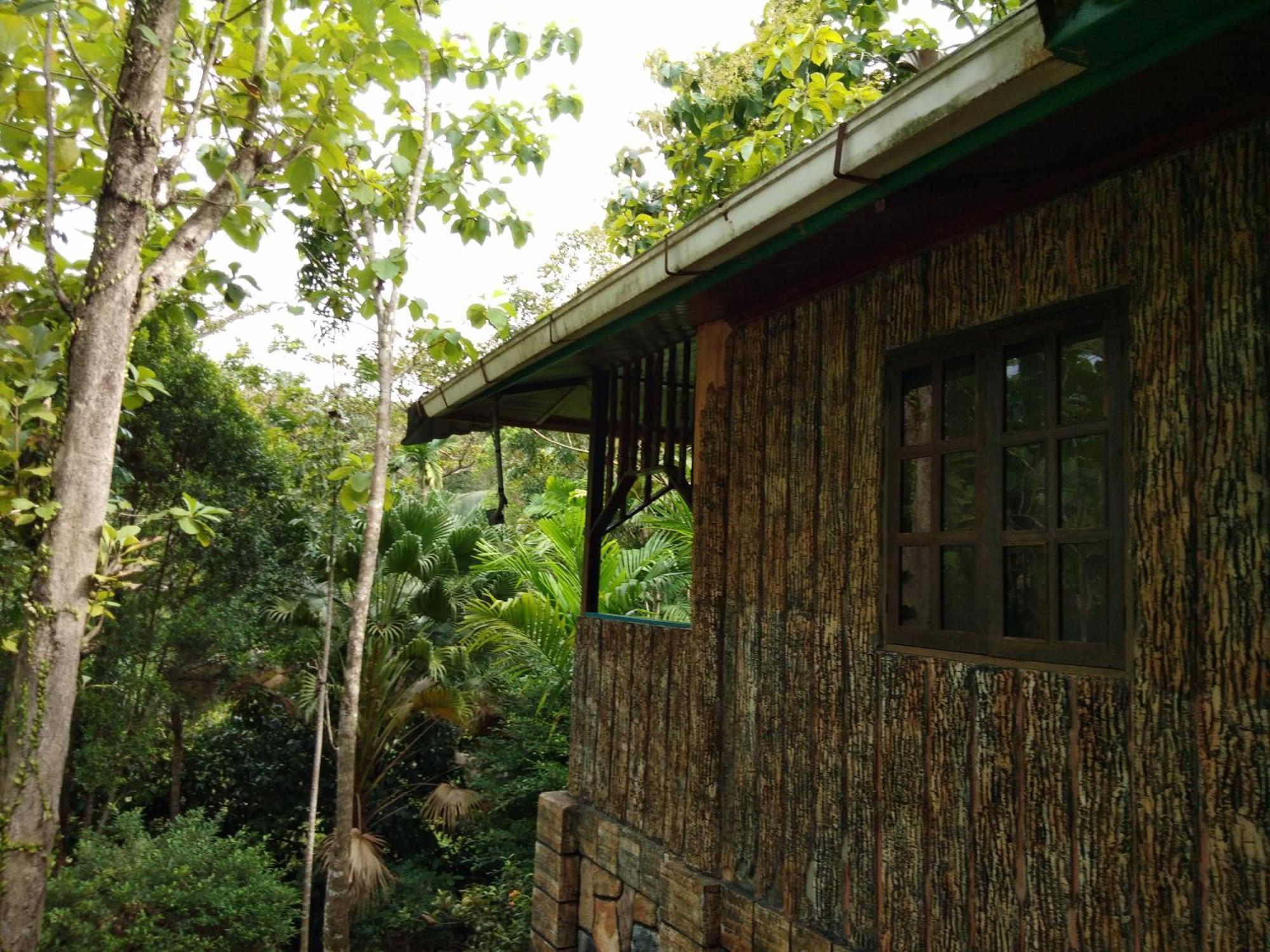 Sepilok Jungle Resort Exteriér fotografie
