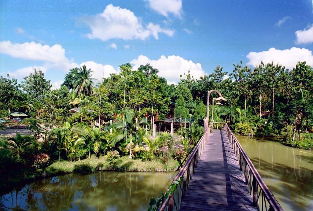 Sepilok Jungle Resort Exteriér fotografie